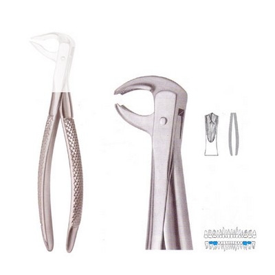 Extracting Forceps